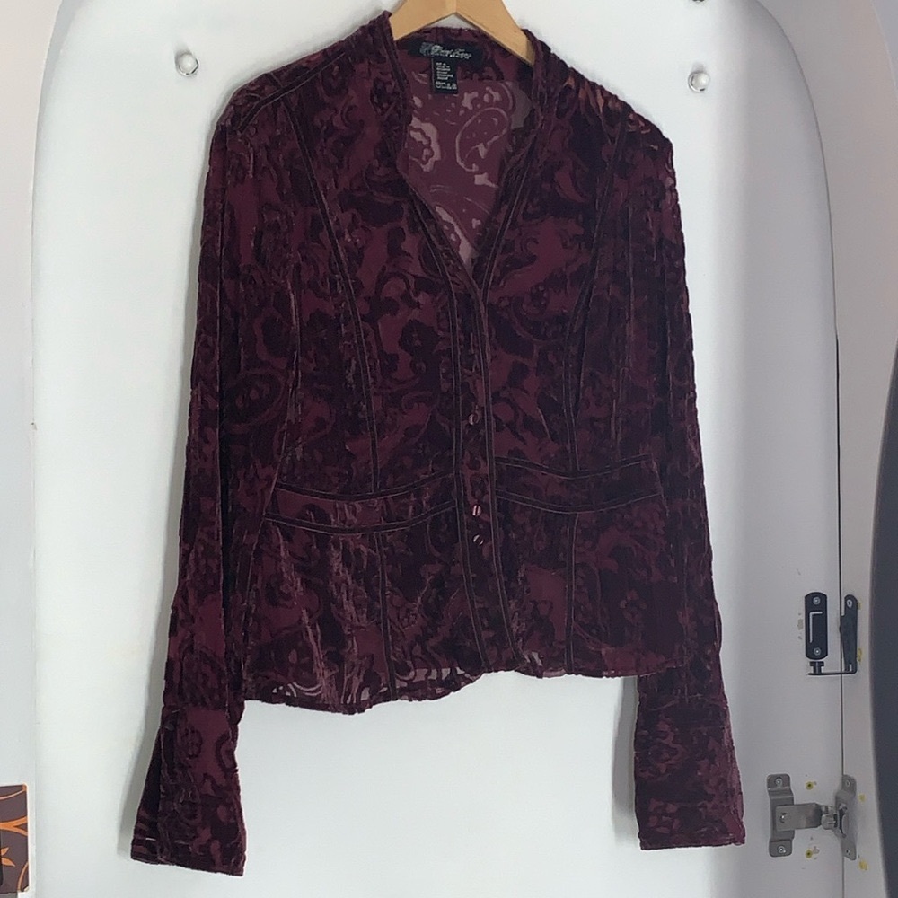 Point Zero Nicole Denisti Burnout Velvet Blouse - XL Fits Like a Large